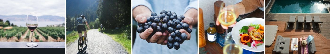 Image Plan on your own - Wine Paths